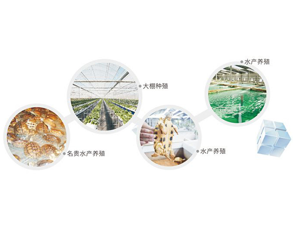 养殖恒温热水工程解决方案